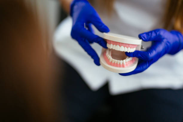 Owings, MD  Holistic Dental Services Company